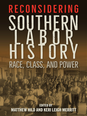 cover image of Reconsidering Southern Labor History